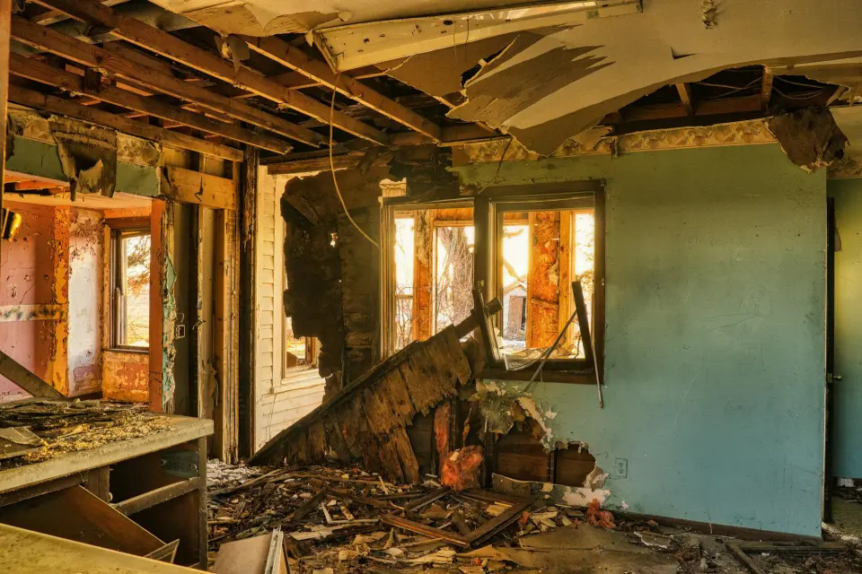Leading Mold Removal Company in Fort Myers, FL — Fort Myers, FL
