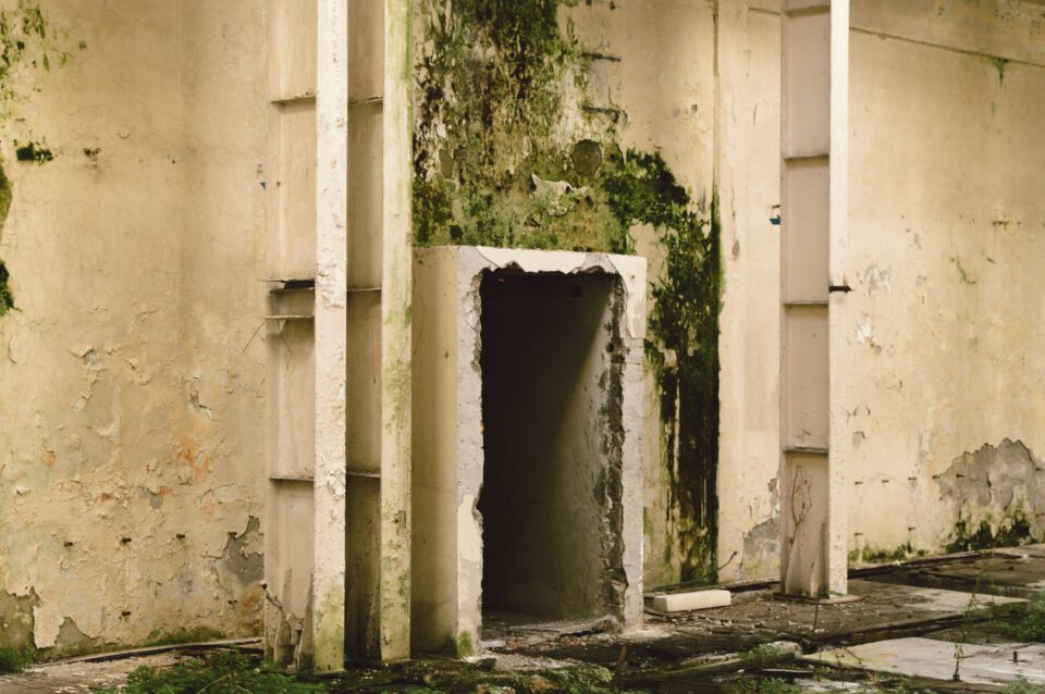 Close-up of a basement wall with visible dark mold patches on the lower drywall section near a concrete floor